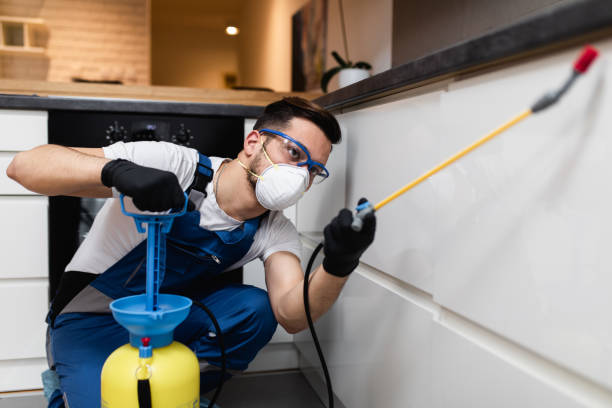 Trusted Bonnetsville, NC Pest Control Experts