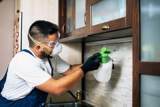 Best Pest Inspection Near Me  in Bonnetsville, NC