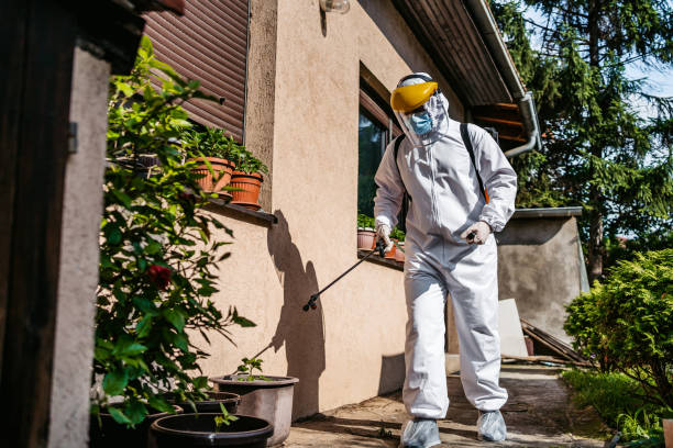 Best Spider Control Near Me  in Bonnetsville, NC