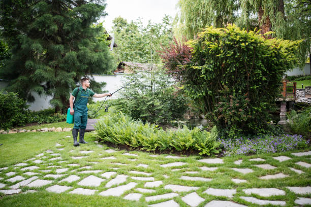 Best Residential Pest Control  in Bonnetsville, NC