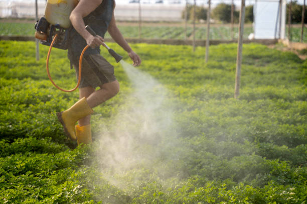 Best Commercial Pest Control Services  in Bonnetsville, NC