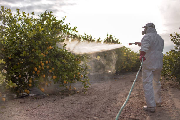 Best Residential Pest Control  in Bonnetsville, NC