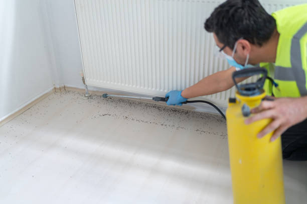 Best Termite Control Services  in Bonnetsville, NC