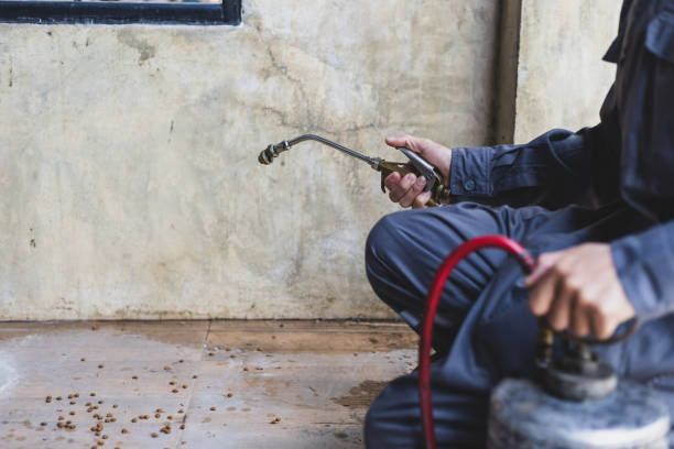 Best Pest Prevention Services  in Bonnetsville, NC