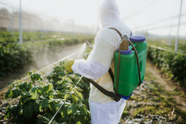 Best Pest Control Near Me  in Bonnetsville, NC